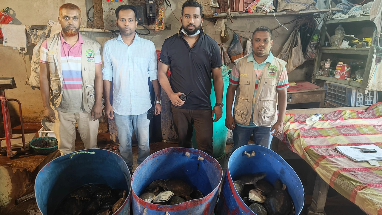 পাচারের জন্য রাখা হয় ৭৩ কচ্ছপ, হঠাৎ বন বিভাগের হানা