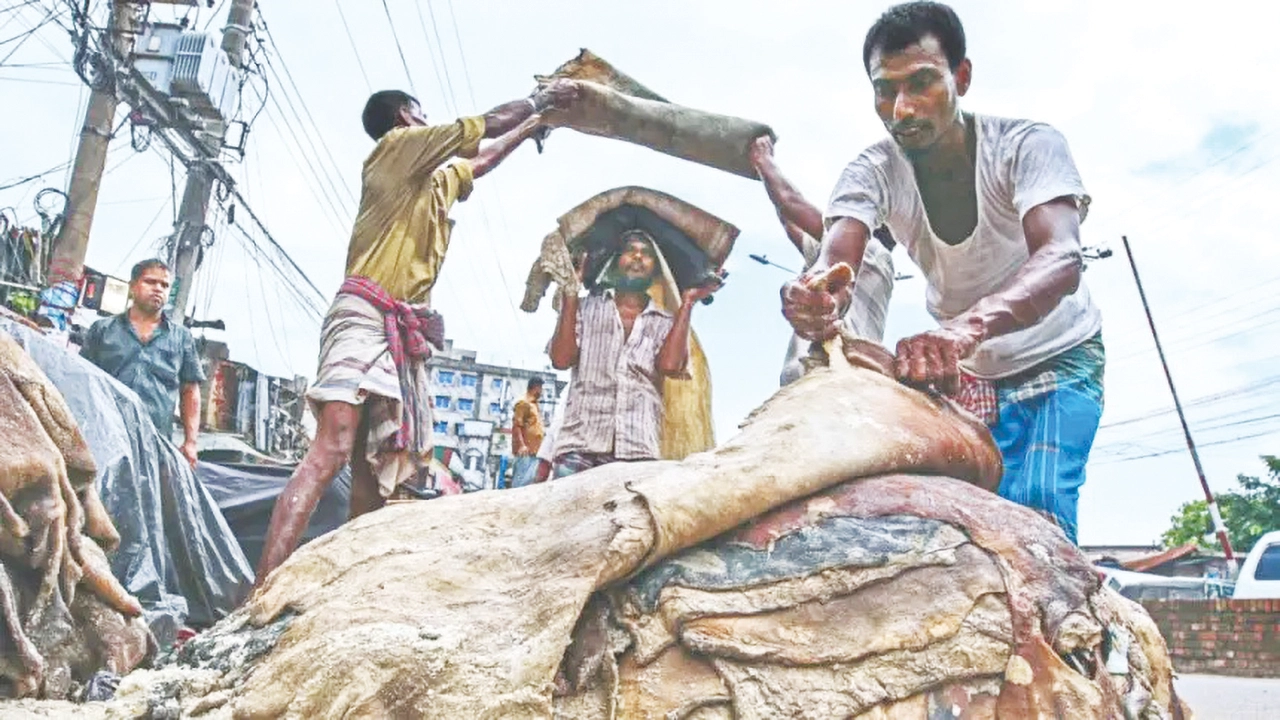 নিজের চামড়া ফেলে দাও, বিদেশেরটা গায়ে চড়াও