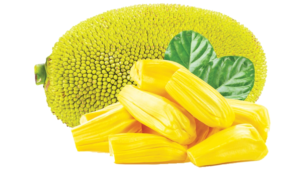 কাঁঠালের উপকারিতা
