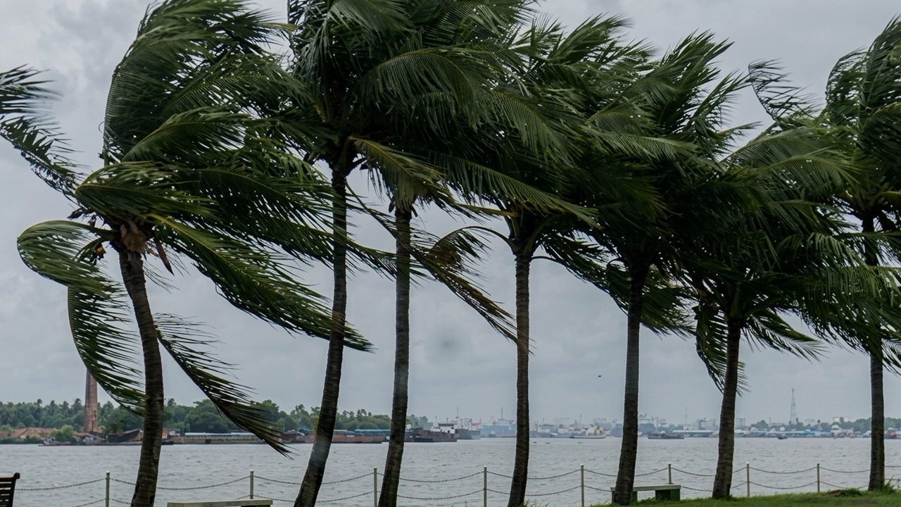 সন্ধ্যার মধ্যে যেসব জেলায় ঝড়ের শঙ্কা